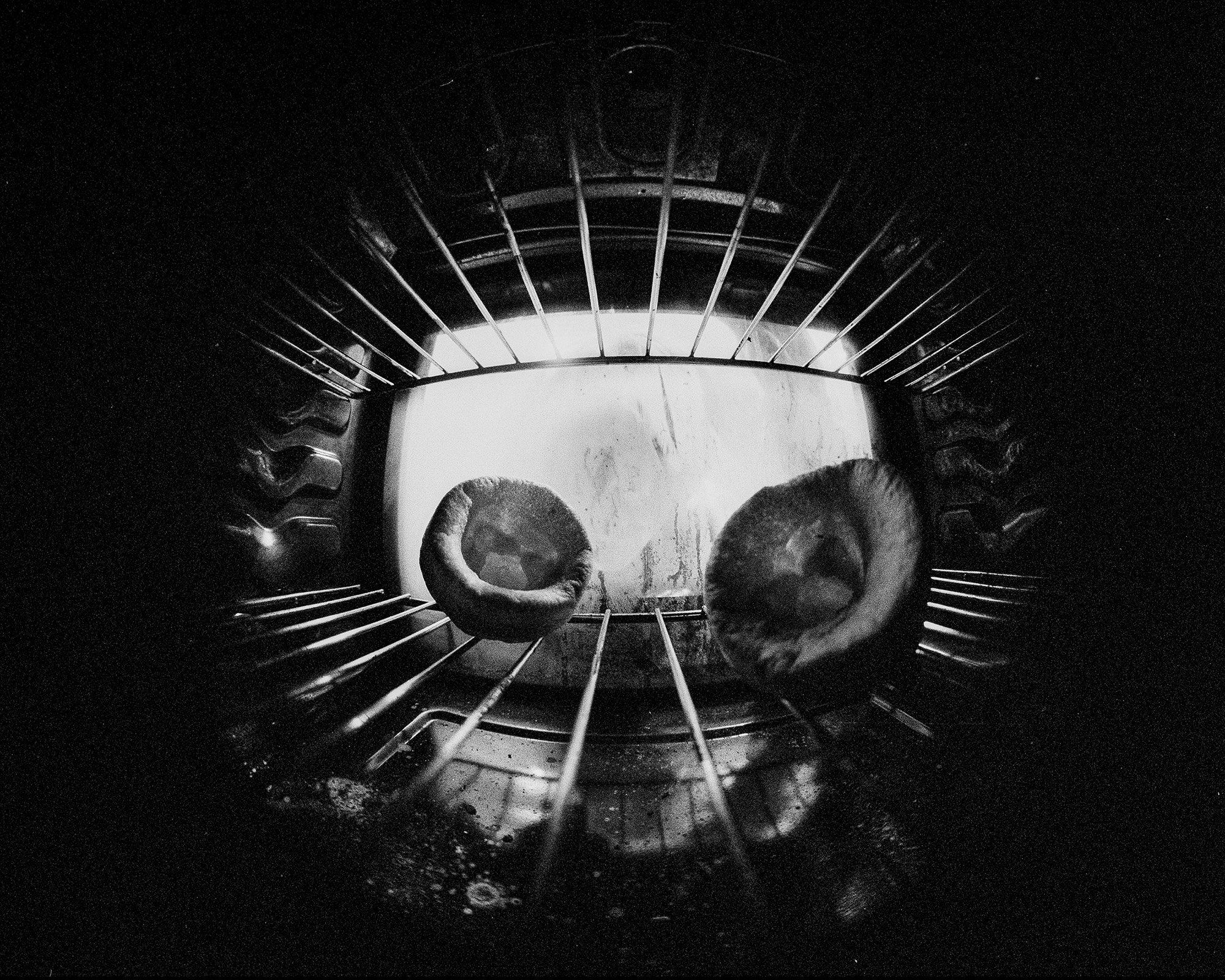 OLIVER_EVANS_Still life.jpg