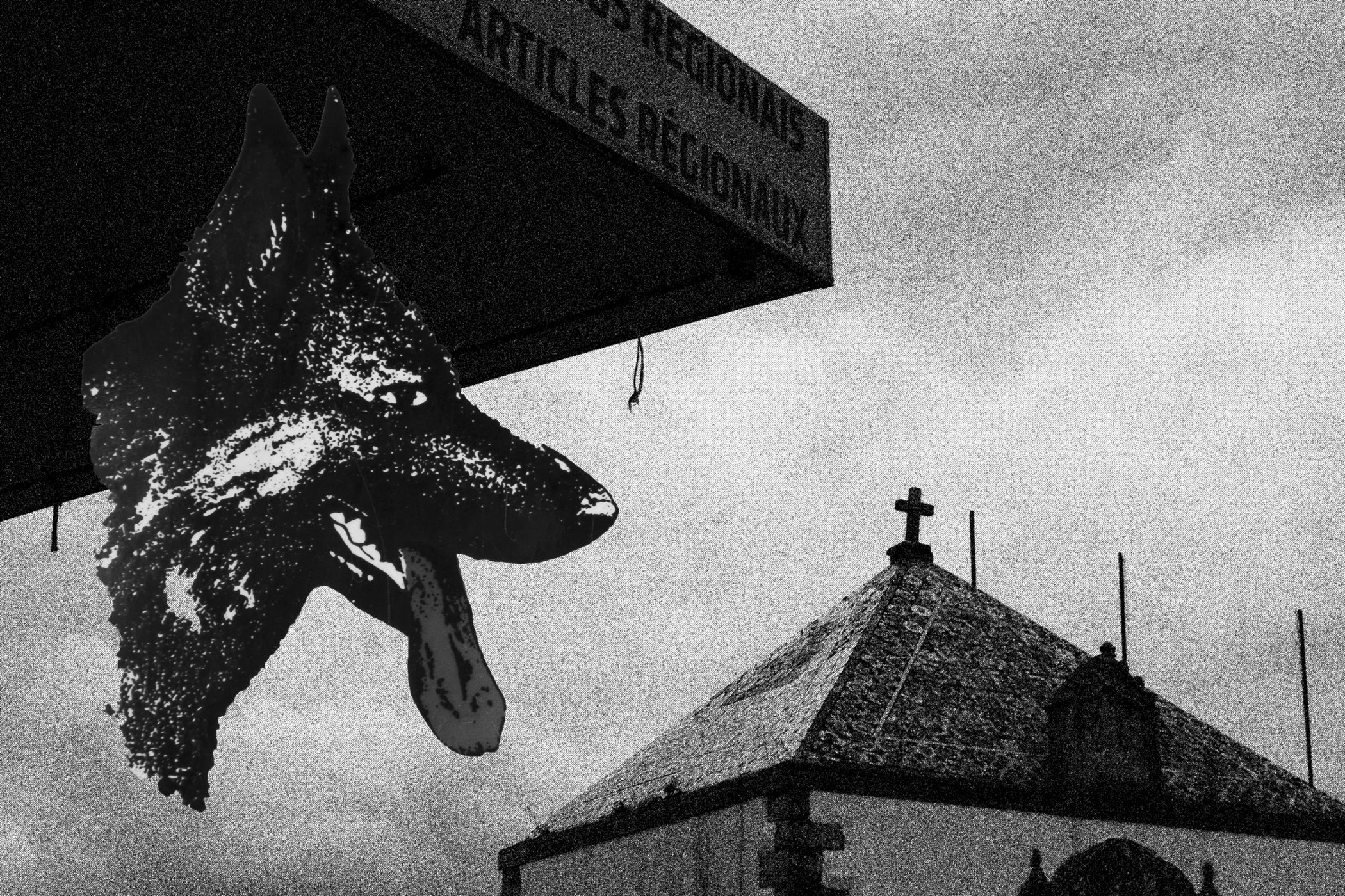 porto oliver evans-10.jpg