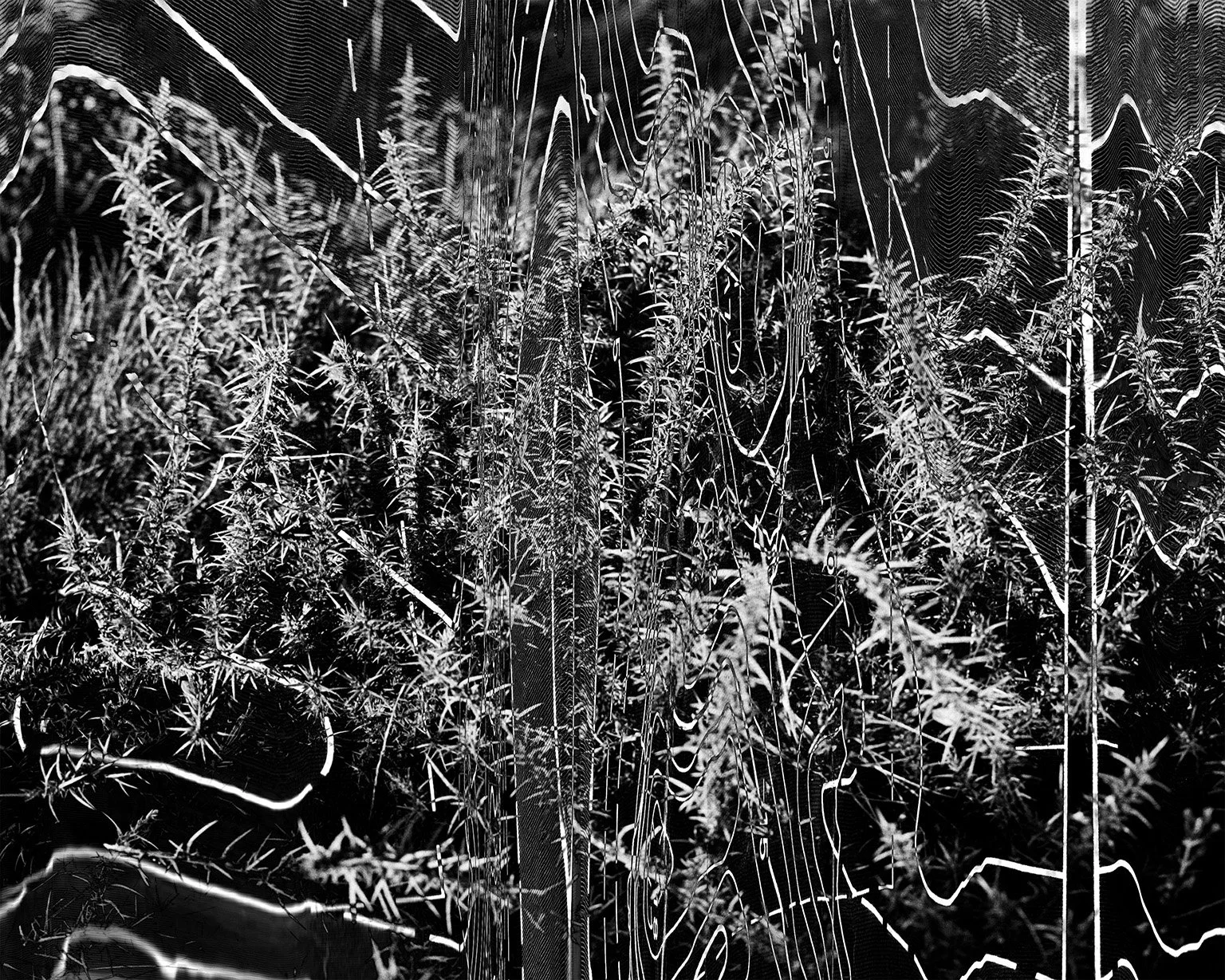 Oliver_Evans 6lr.jpg