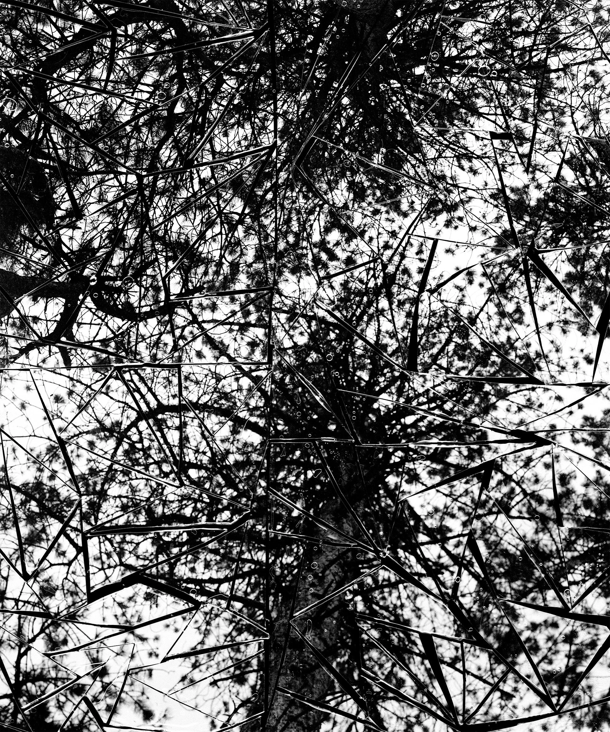 OliverEvansSynapse6.jpg