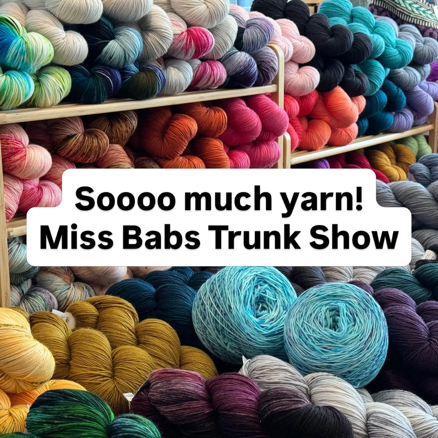 @missbabsyarns trunk show is in the shop!  @newjerseywoolwalk starts tomorrow, are you ready?
Looking forward to seeing you all!!!
#missbabs #njwoolwalk #newjerseywoolwalk2026 #missbabstrunkshow #njknitters