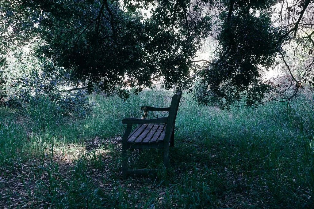 Unplug to Reconnect: Weekend Online Digital Detox &amp; Meditation Retreat