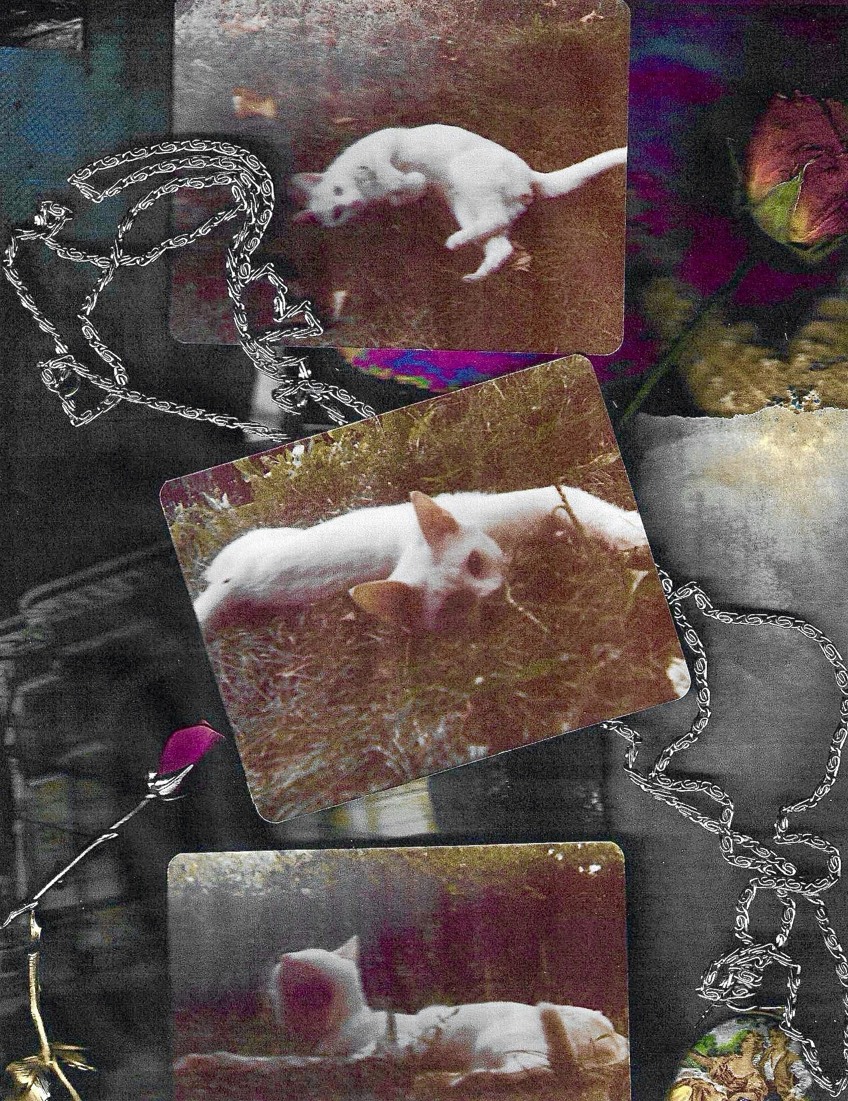 “Untitled”