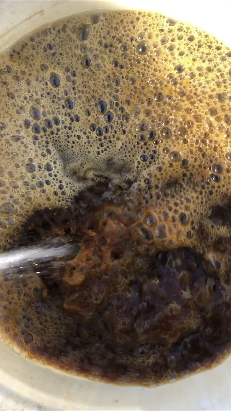 EM - Partnering with Microbes Workshop