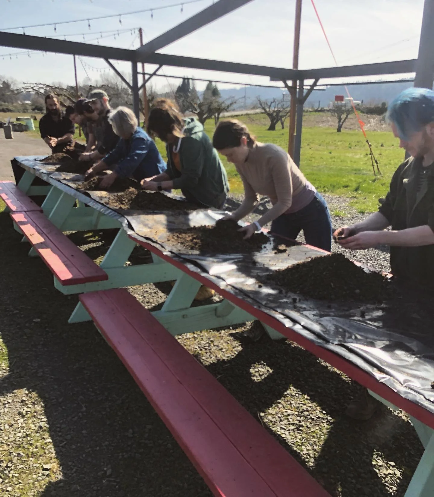 thank you to everyone who has joined us for #workshops this year so far!! 🦠🍄🌱🔥our #bokashiball workshop was so inspiring for us! to meet and learn with so many beautiful humans who want to #heal and #protect our #soil and #water motivates our hea