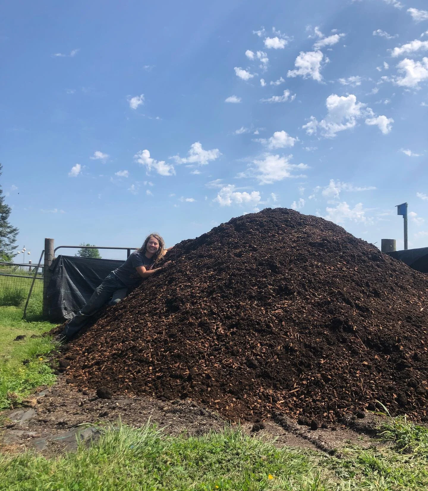Nothing like that new pile of #soil feeling! ✨I love #beauitful #dirt and #growing #pnw #nativeplants 💕🌱🦠🍄🌲 #habitatrestoration #backyardhabitat #pollinators #pollinatorgarden #bees #birds #butterflies #wildlife #flowers #berries #microbes #fung