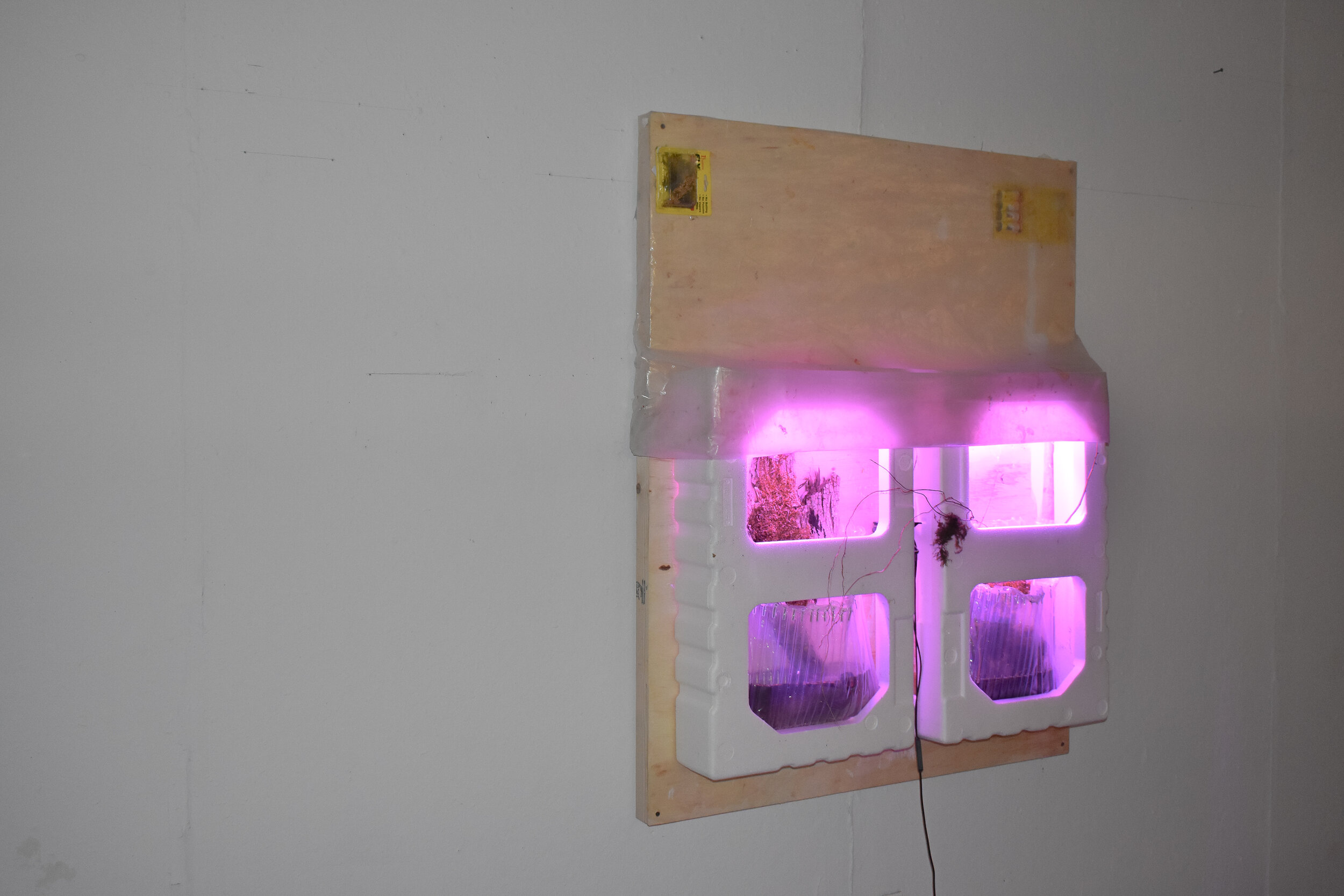 regeneration machine
