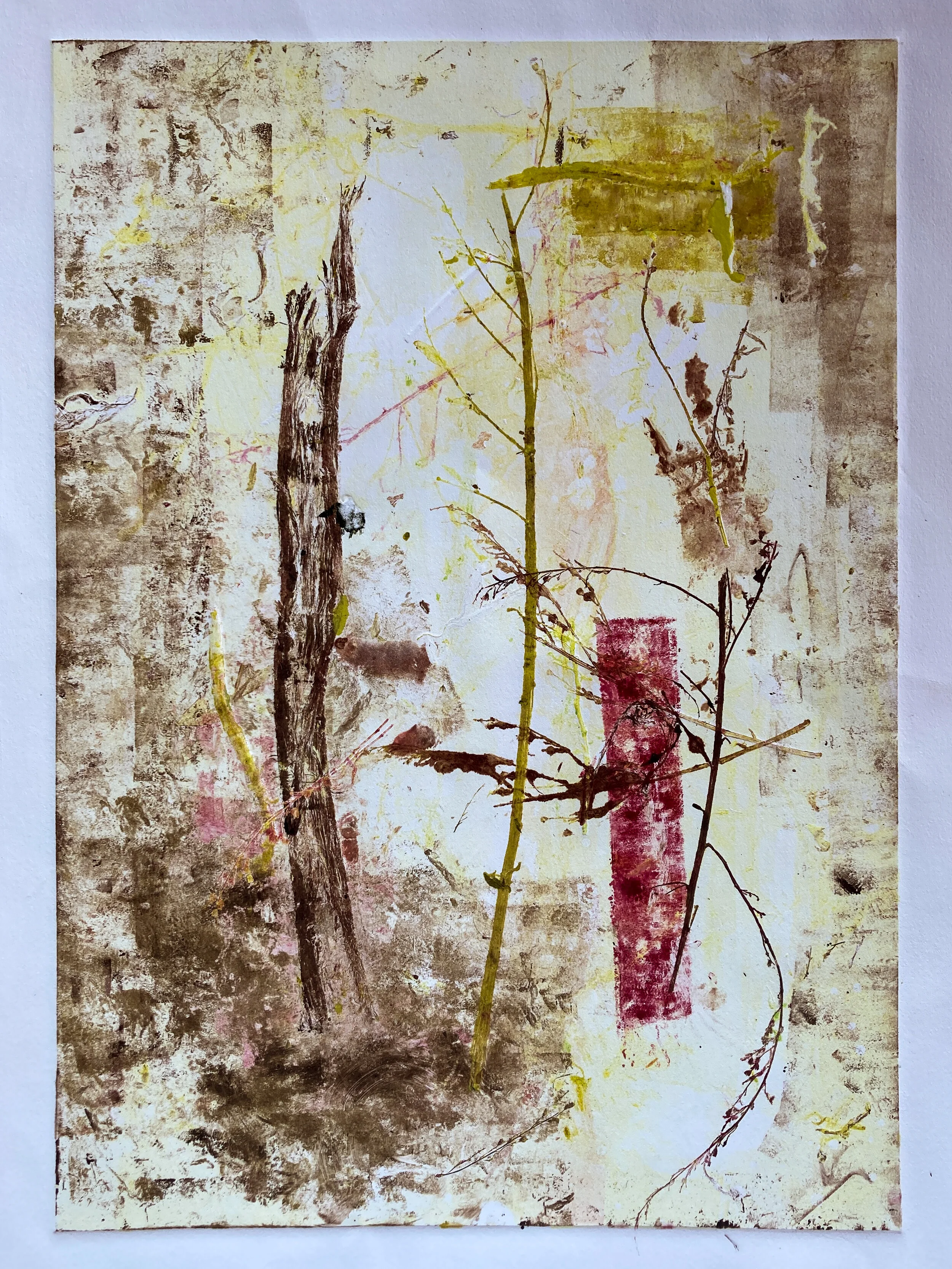  woodland collection 1  15x18”   monotype, unique print  $150 