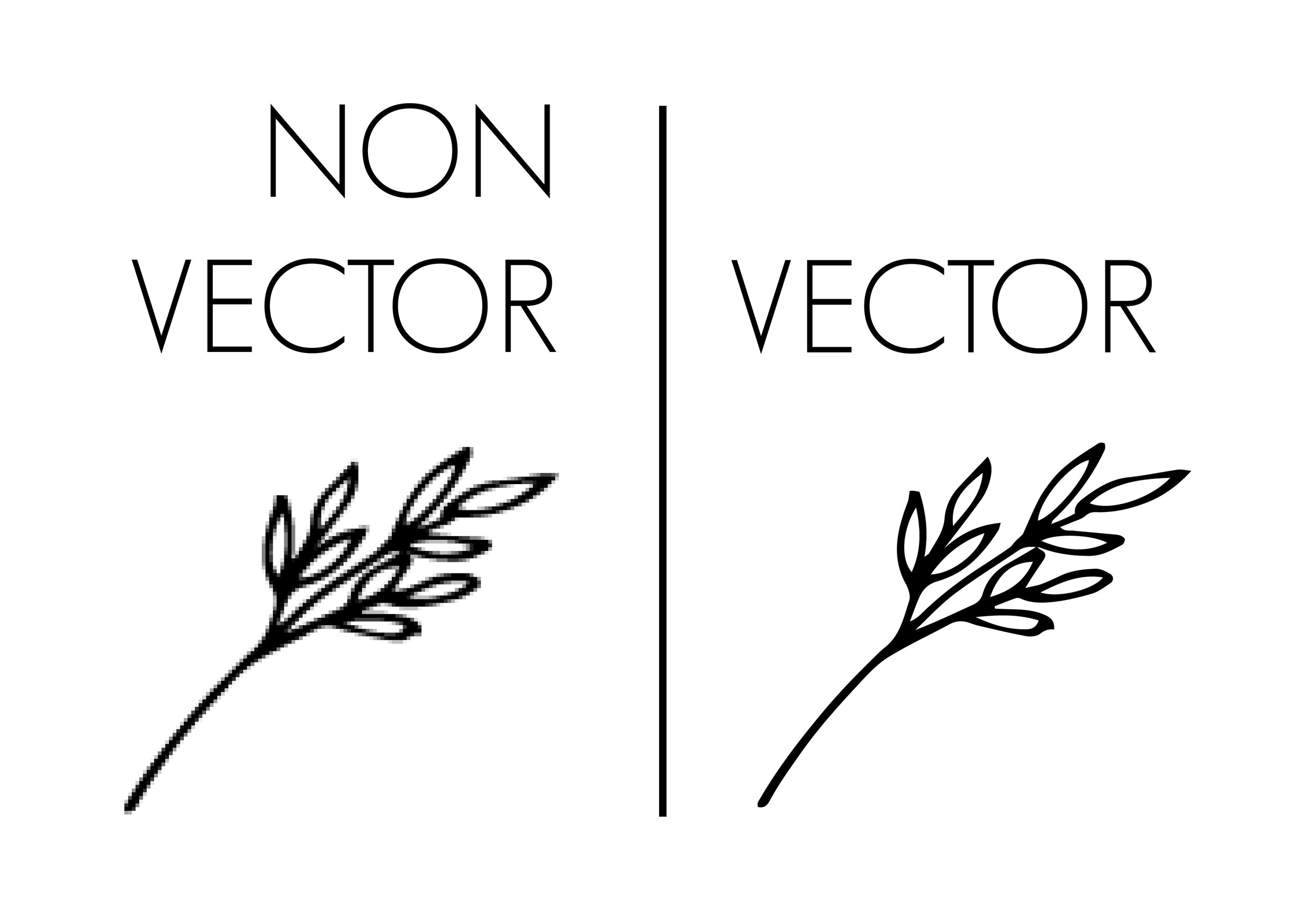VECTOR-01.jpg