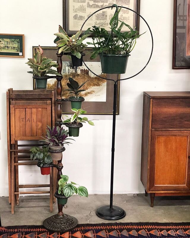 Adjustable seven tier plant stand, 58&rdquo; tall, holds 4&rdquo; pots like a dream, $58 [sold]. Black metal former birdcage stand, 66&rdquo; tall, $38. [sold]