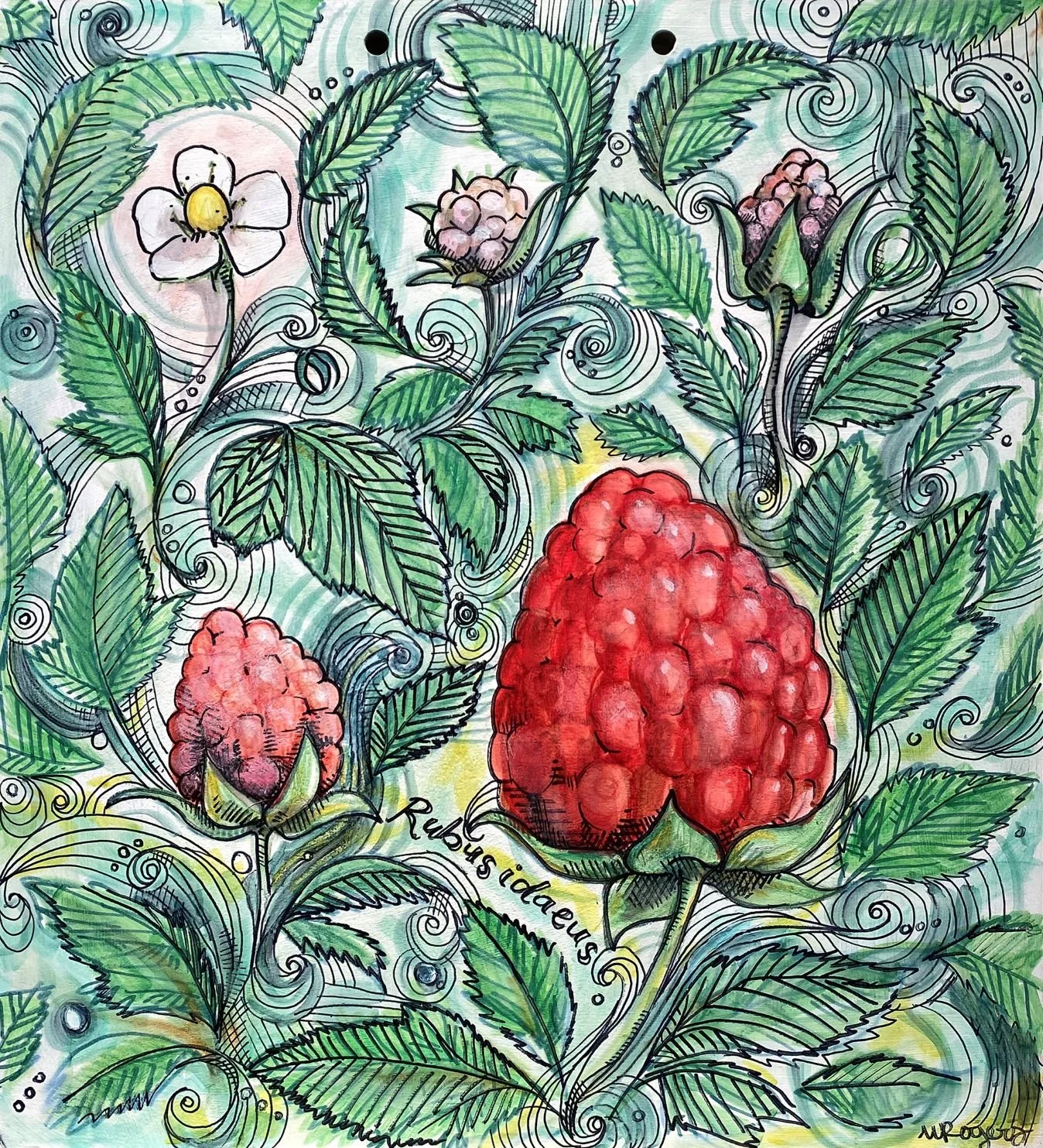 High Rez_ Utah Summer berry.jpeg