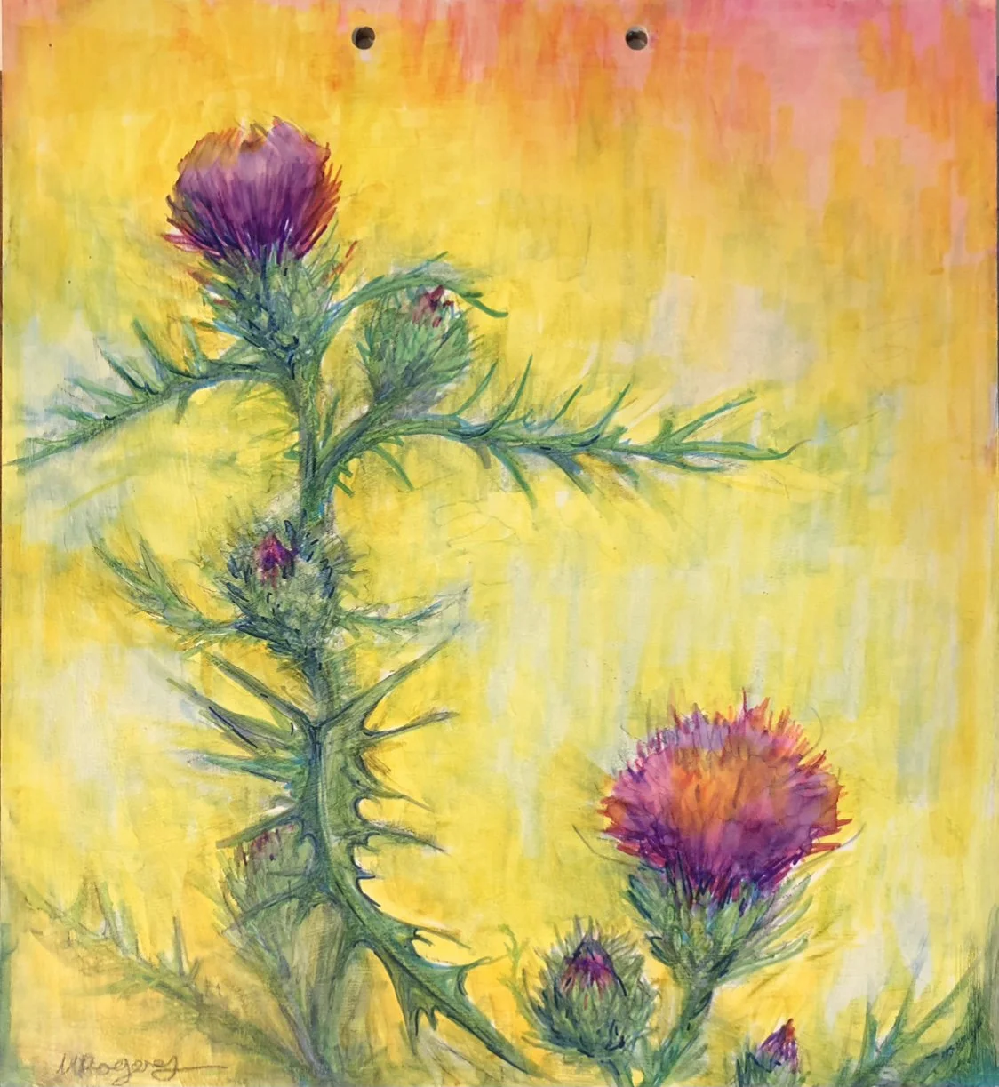 Mimi Rogers_Sunrise Milk Thistle.jpg