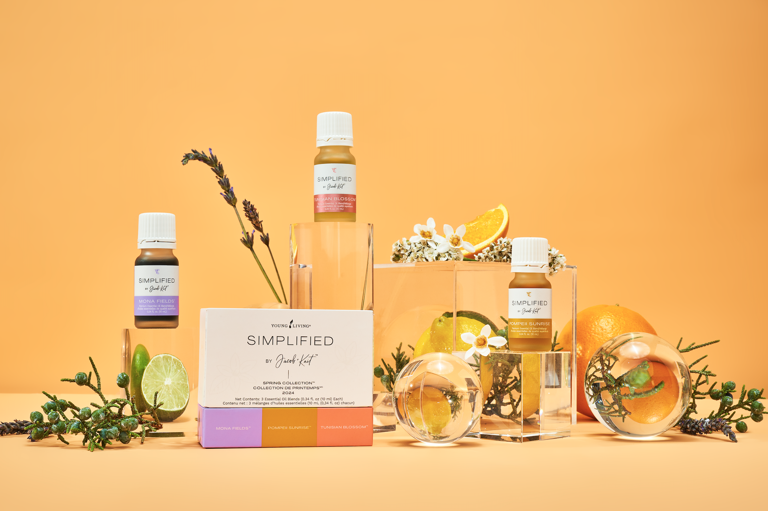 Screenshot 2025-05-20 at 11.41.58 AM.png