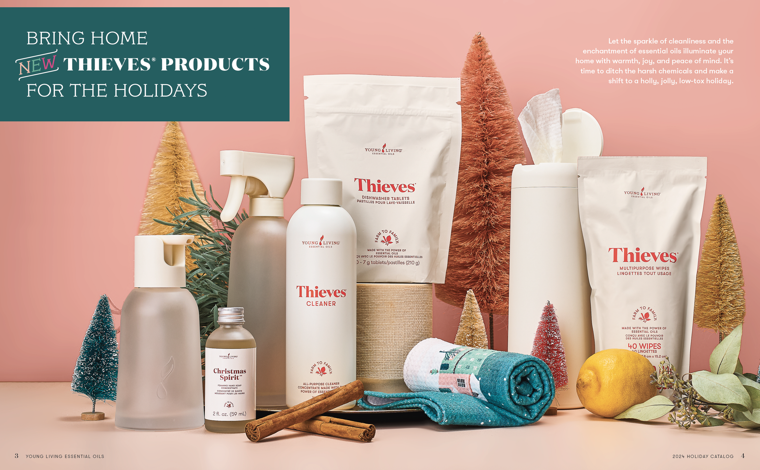 Screenshot 2025-05-20 at 11.46.35 AM.png