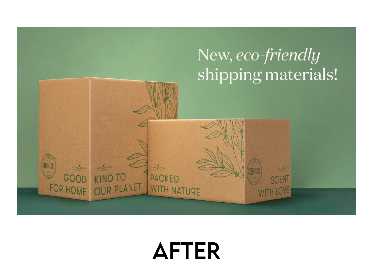 Before and afters-06.png