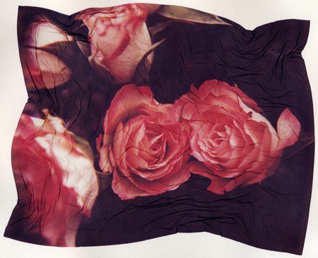 rosesmall.jpg