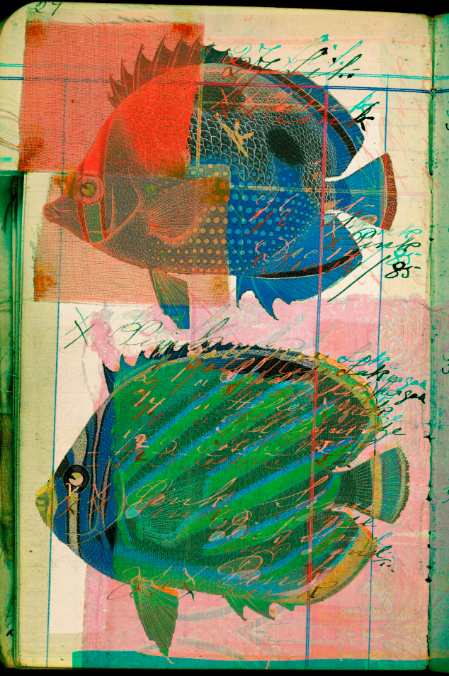 WEIRD FISHES/ARPEGGI