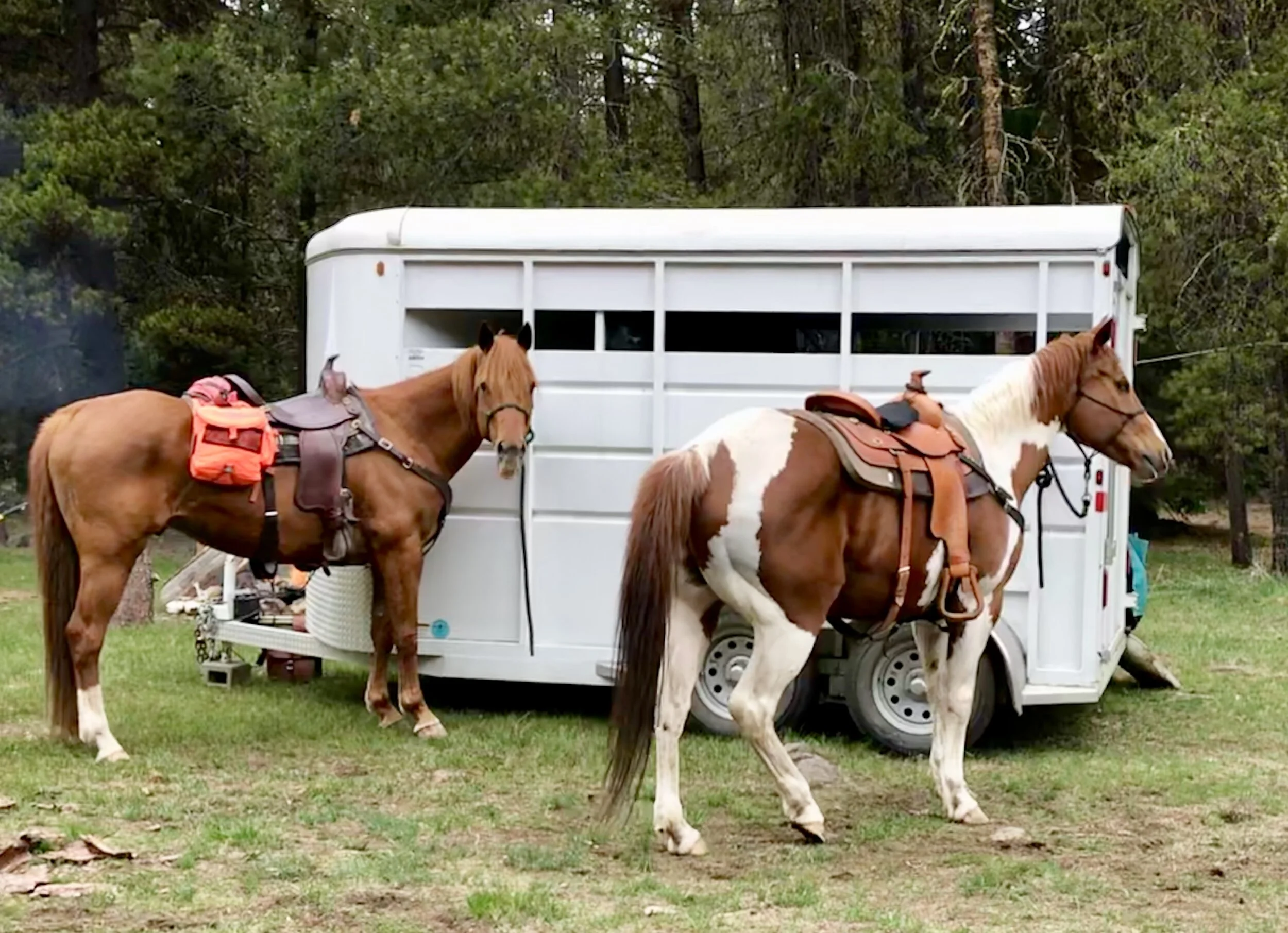 James turns 50 at Riders Camp