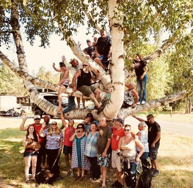 Plan a Family Reunion!