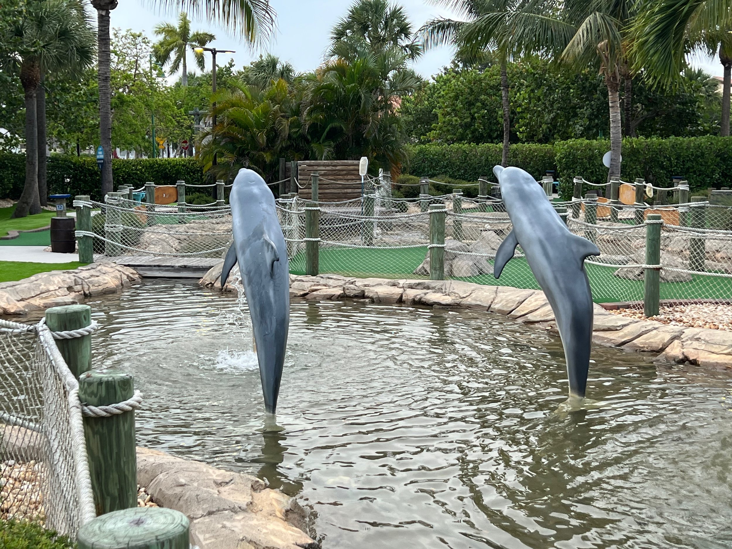 IMG_0659 golf.jpeg