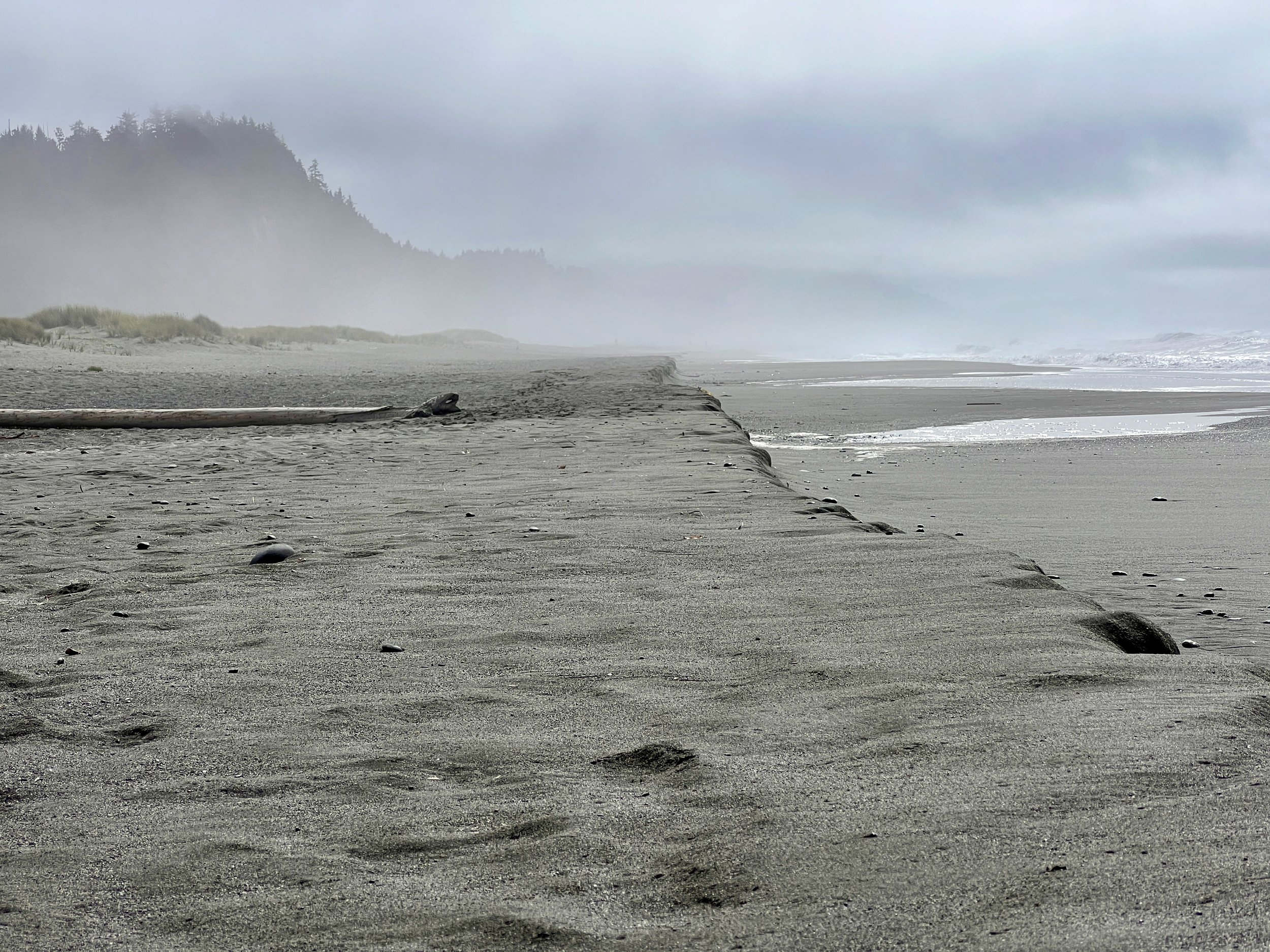 IMG_2112 fog.jpeg