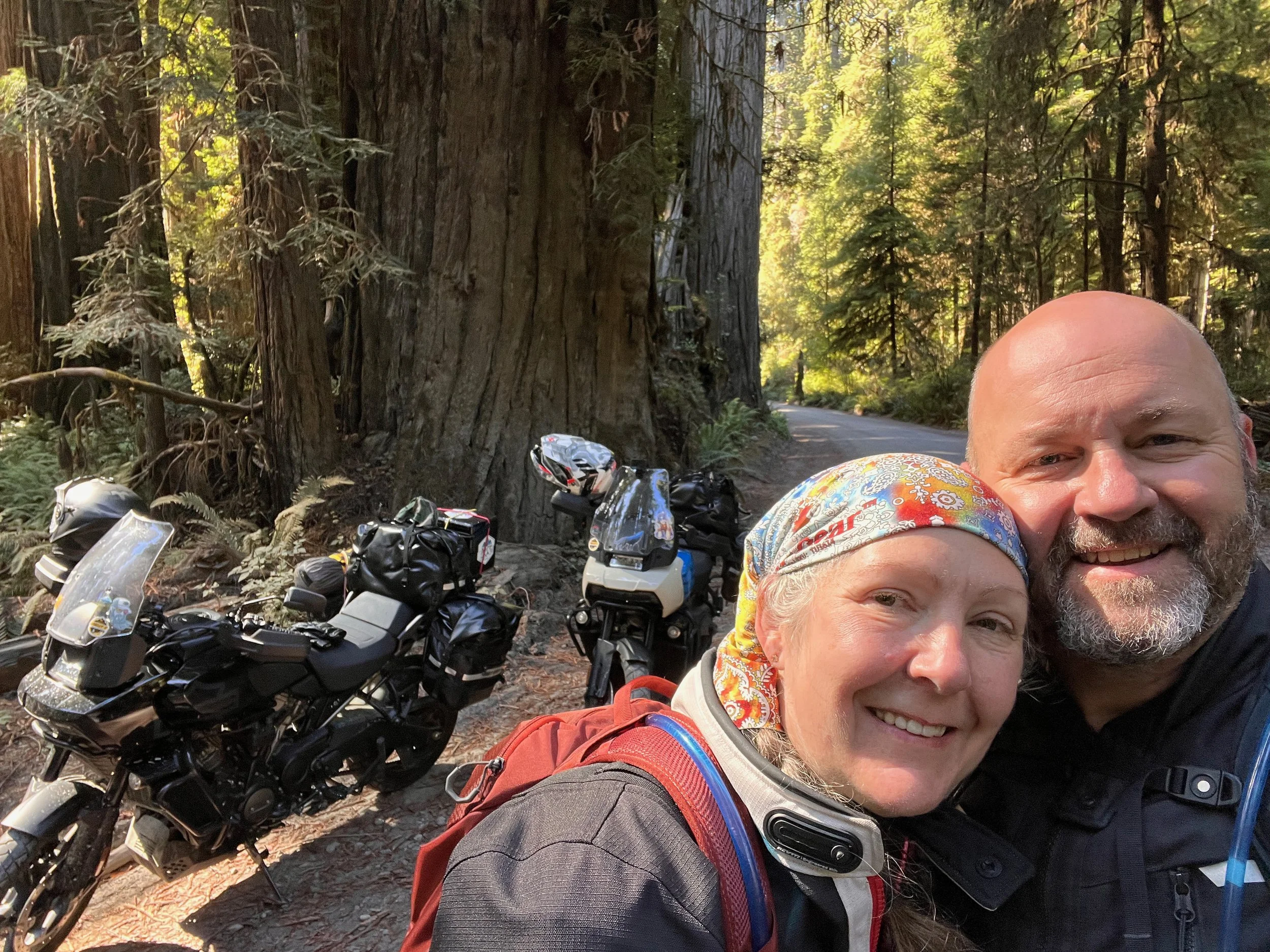 JACT in the Redwoods