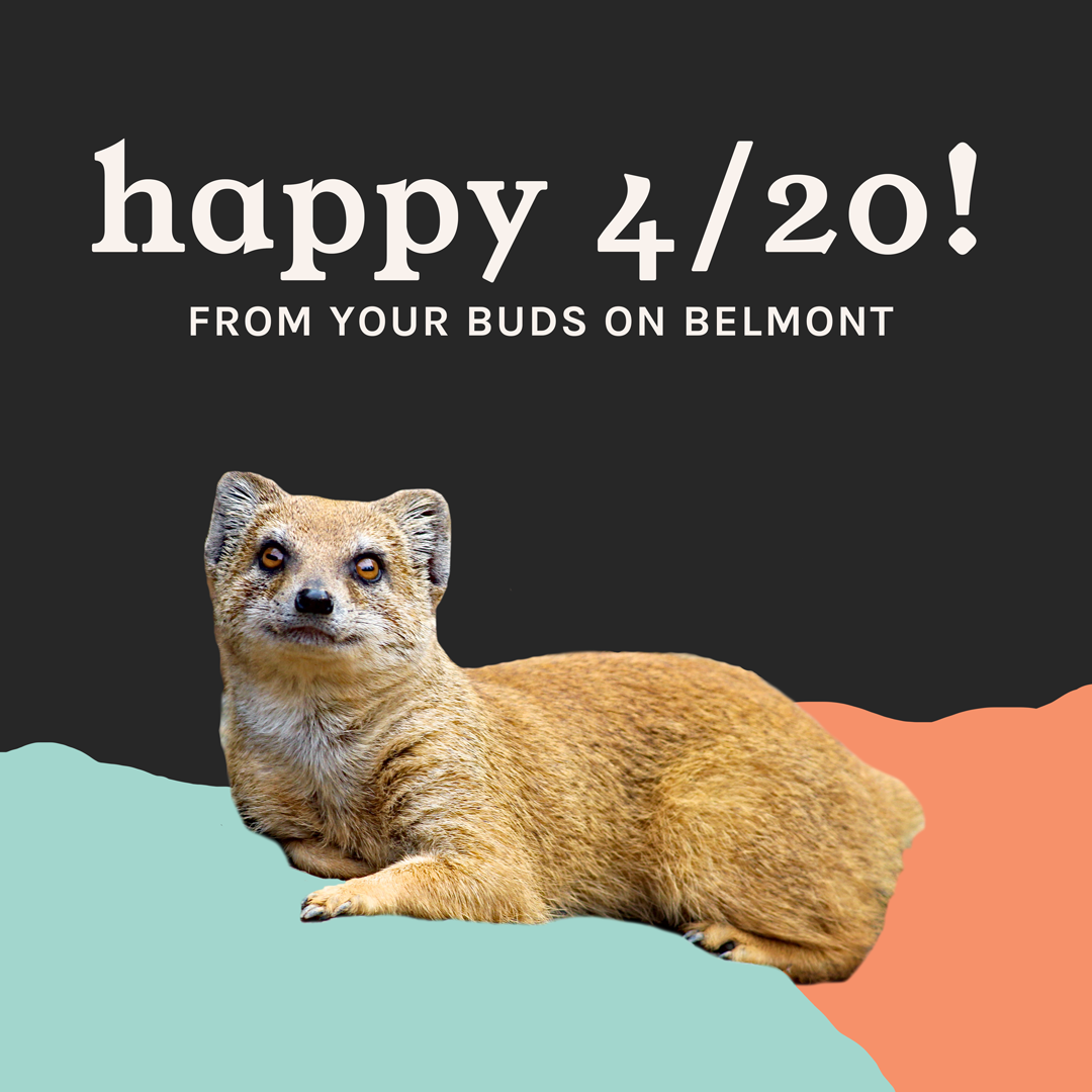 4/20 Specials All Week &amp; Raffle!