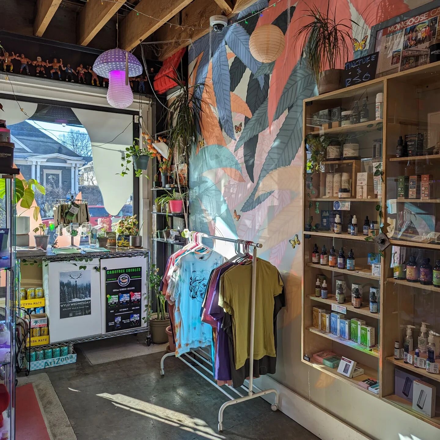 We are loving another sunny day here at the 'Goose, maybe the ground hog was right! Come say hey 👋 Jack can help you find the right 🍃 for this gorgeous Saturday and all it's possibilities.

-

#thatoregonlife #pdxnow #thingstodoinportland

Do not o