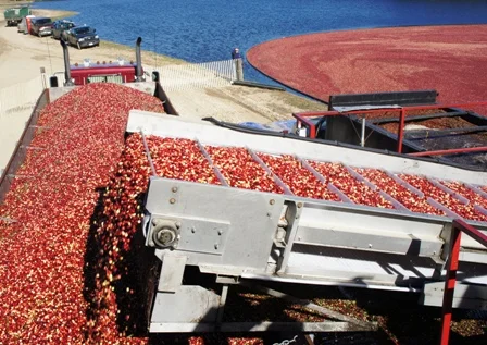 Sanitary Transport of Human and Animal Food