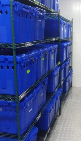 When dedicated cold storage spaces are not available, lockable, vented totes can minimize contamination risks.