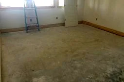 Job Site After img-0151.jpg