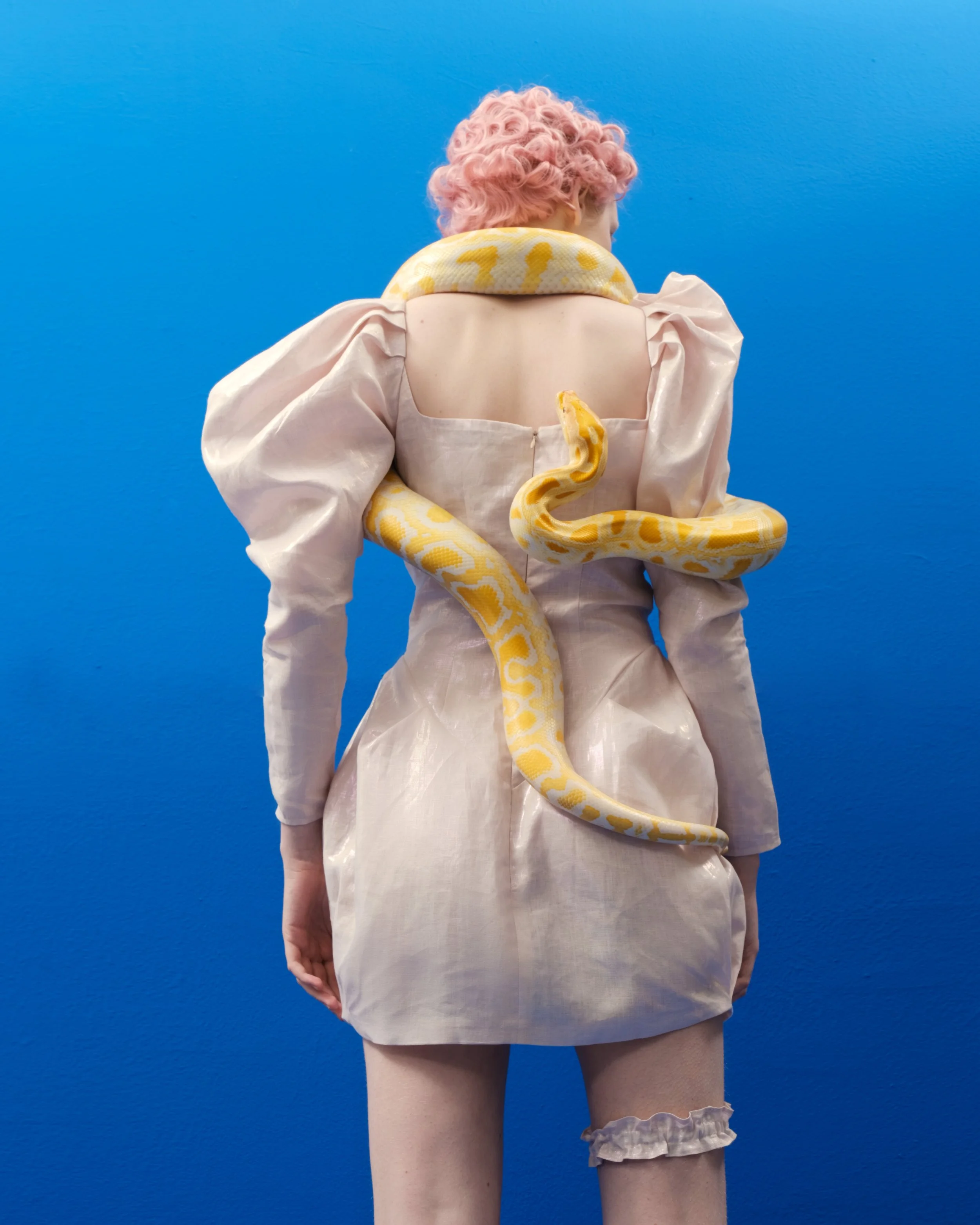 Pink Dress Abracadabra Collection