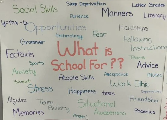 What is school for.1.jpg