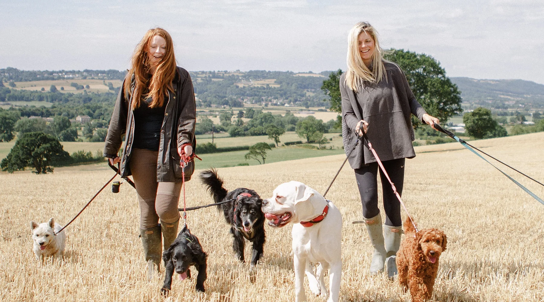 DOG WALKING & PUPPY VISITS