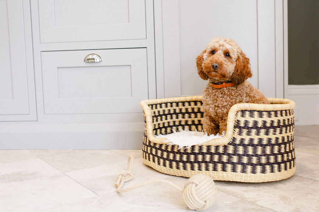hounds of harrogates dog beds dog accessories
