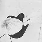 profile+photo+for+art.jpg