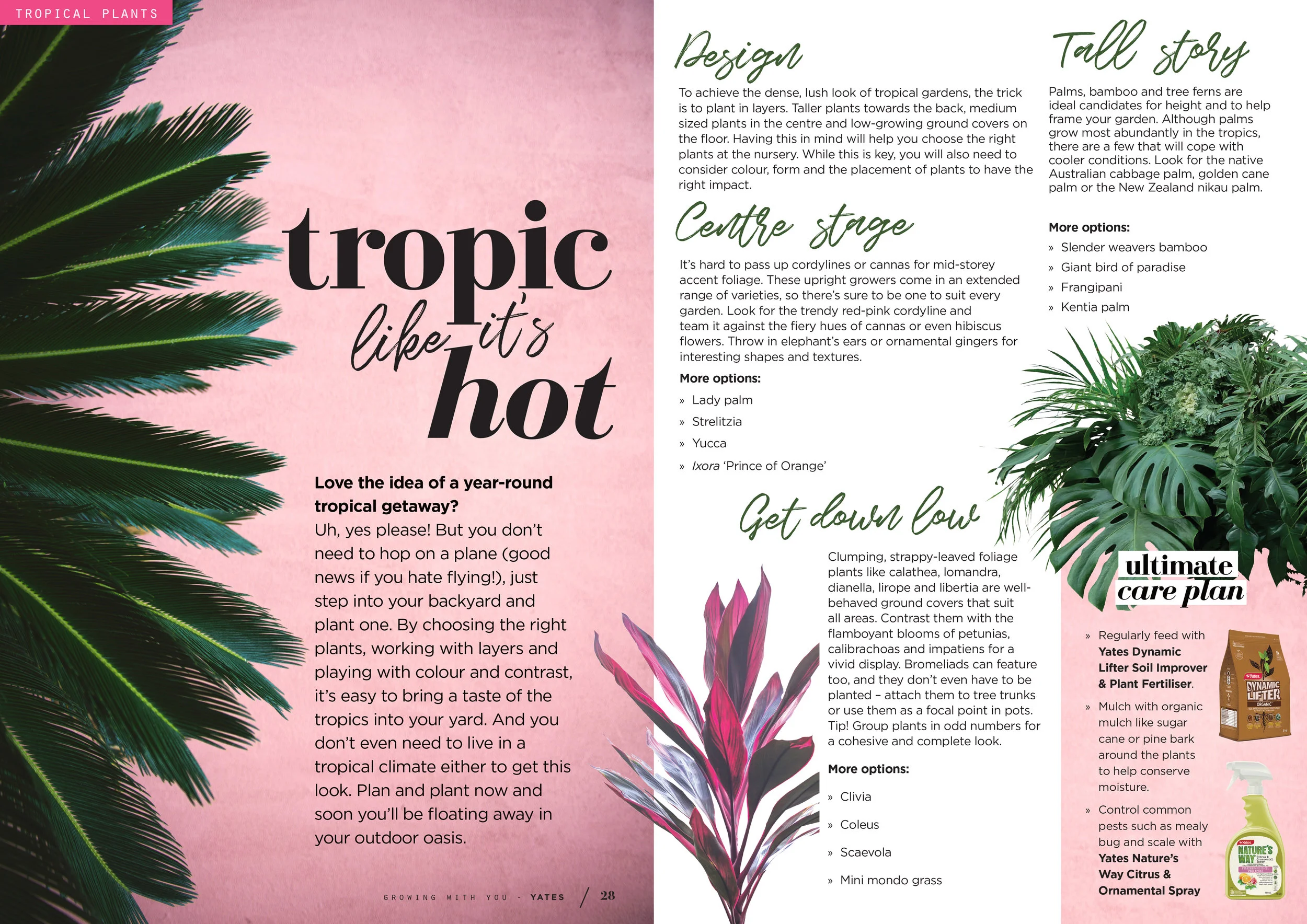 Tropical Garden Inspiration