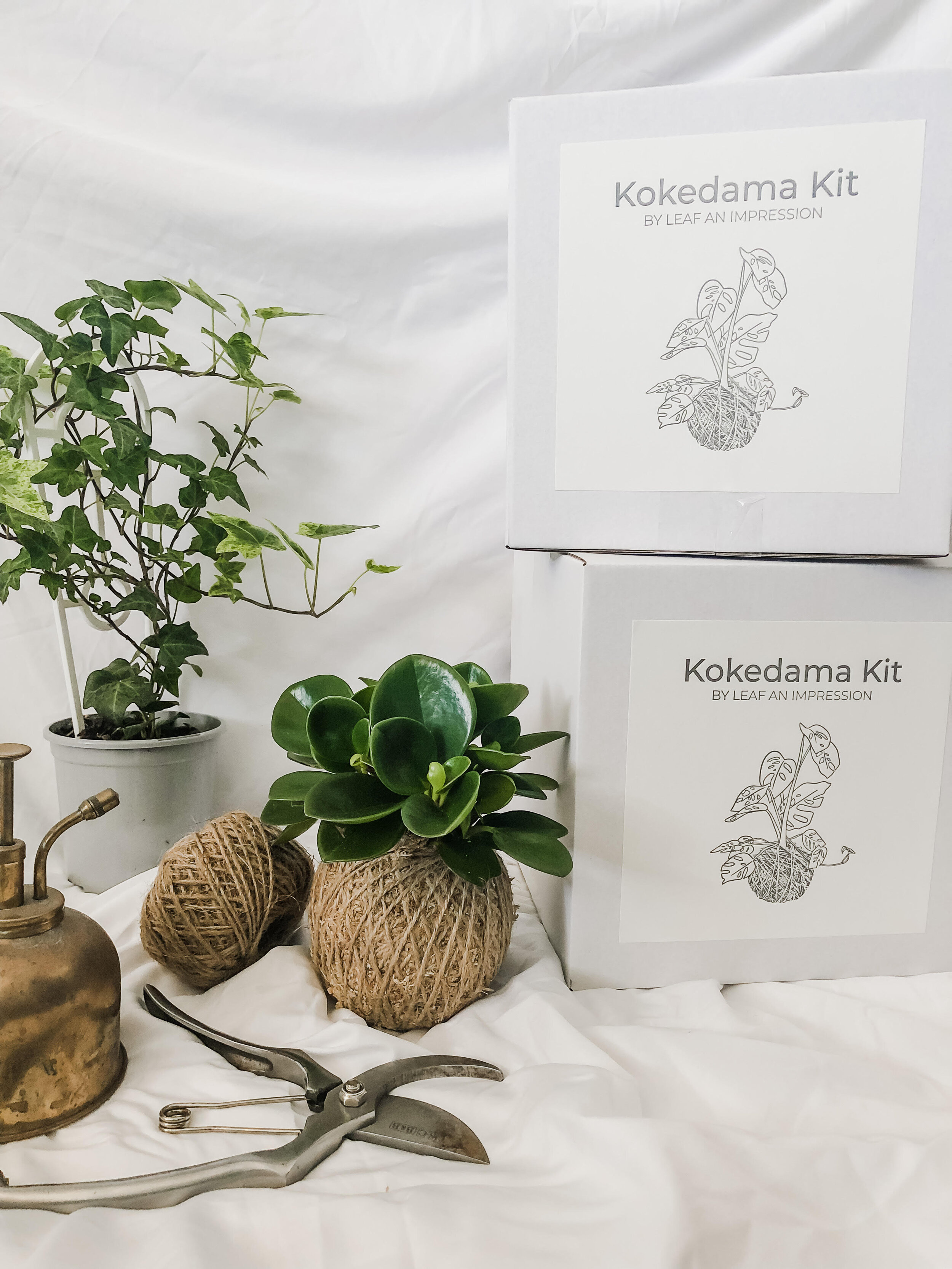 DIY Kokedama Kit