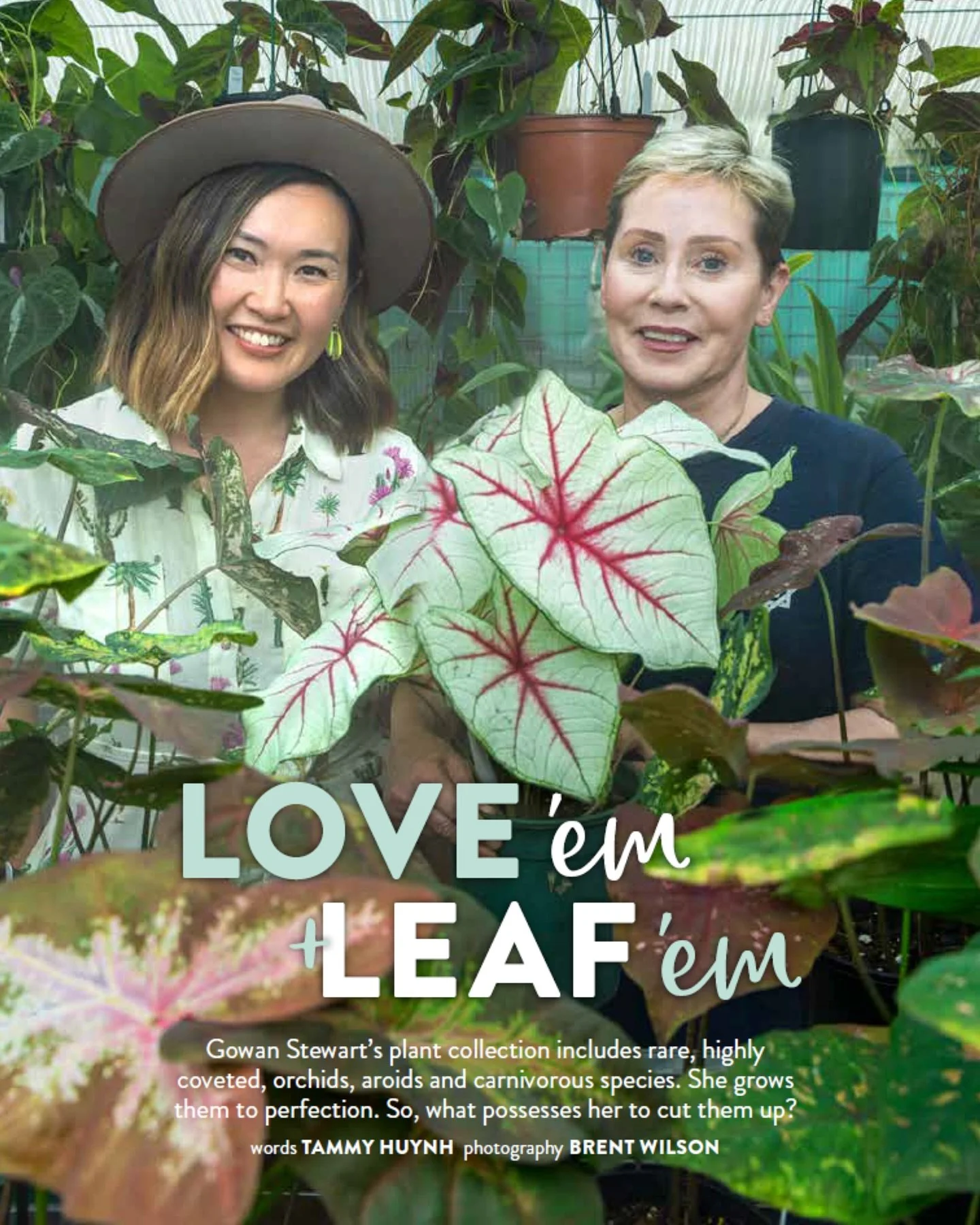 How would you go snipping off perfectly formed leaves on your plants?! ✂️🤯😰

That&rsquo;s what Gowan Stewart @queenplants_ does regularly! She grows them to absolute perfection then out come the snips! 🍃

In the latest issue of @gardeningaustralia