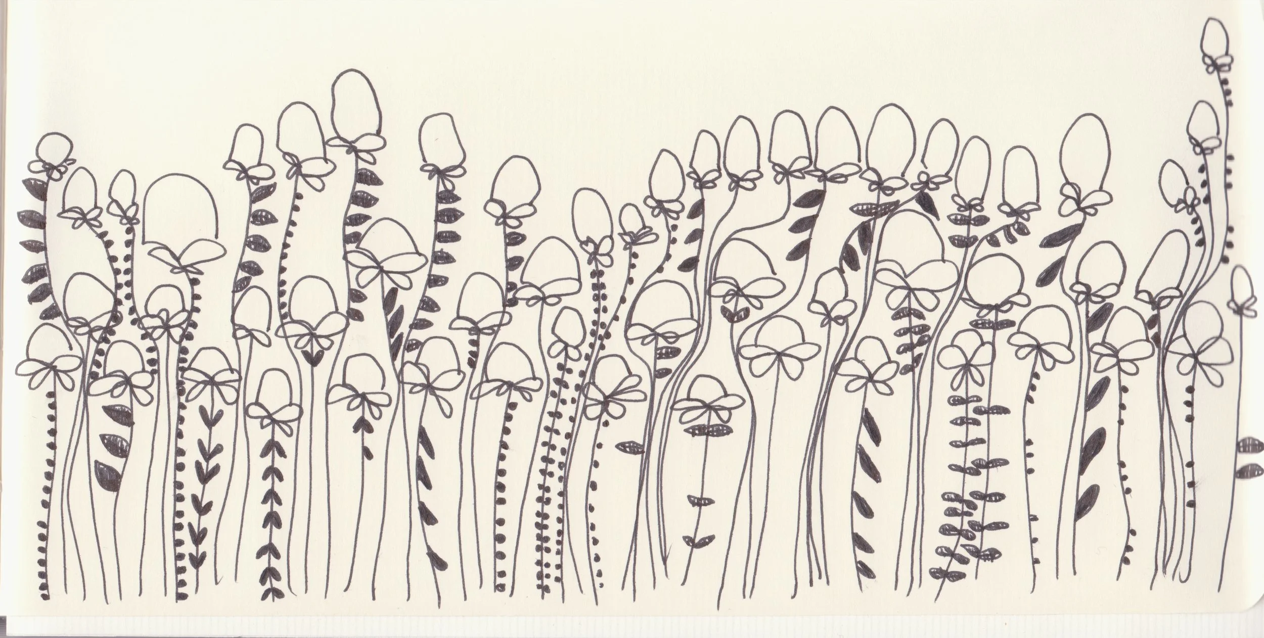 image-1.jpg