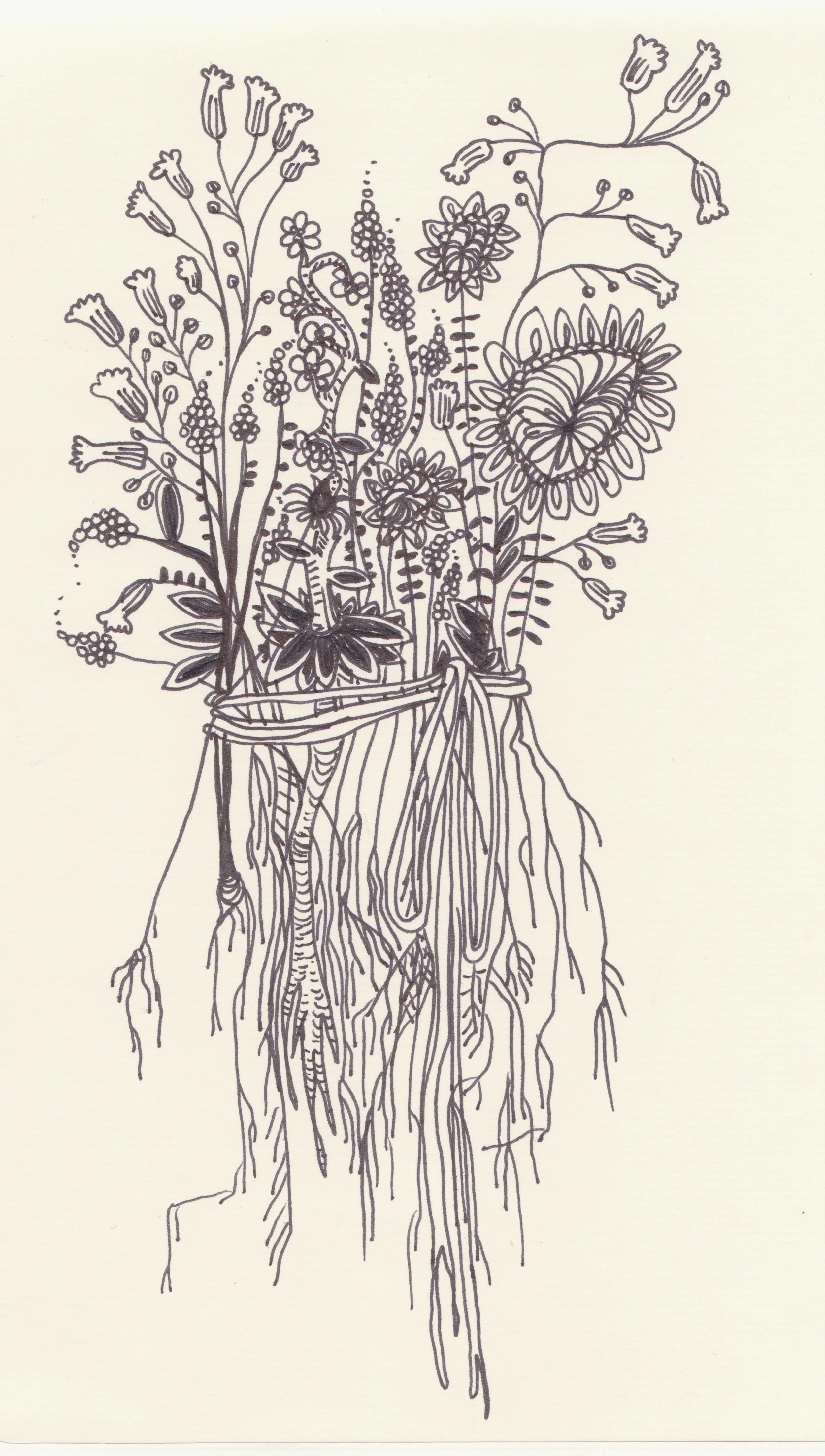image-3.jpg