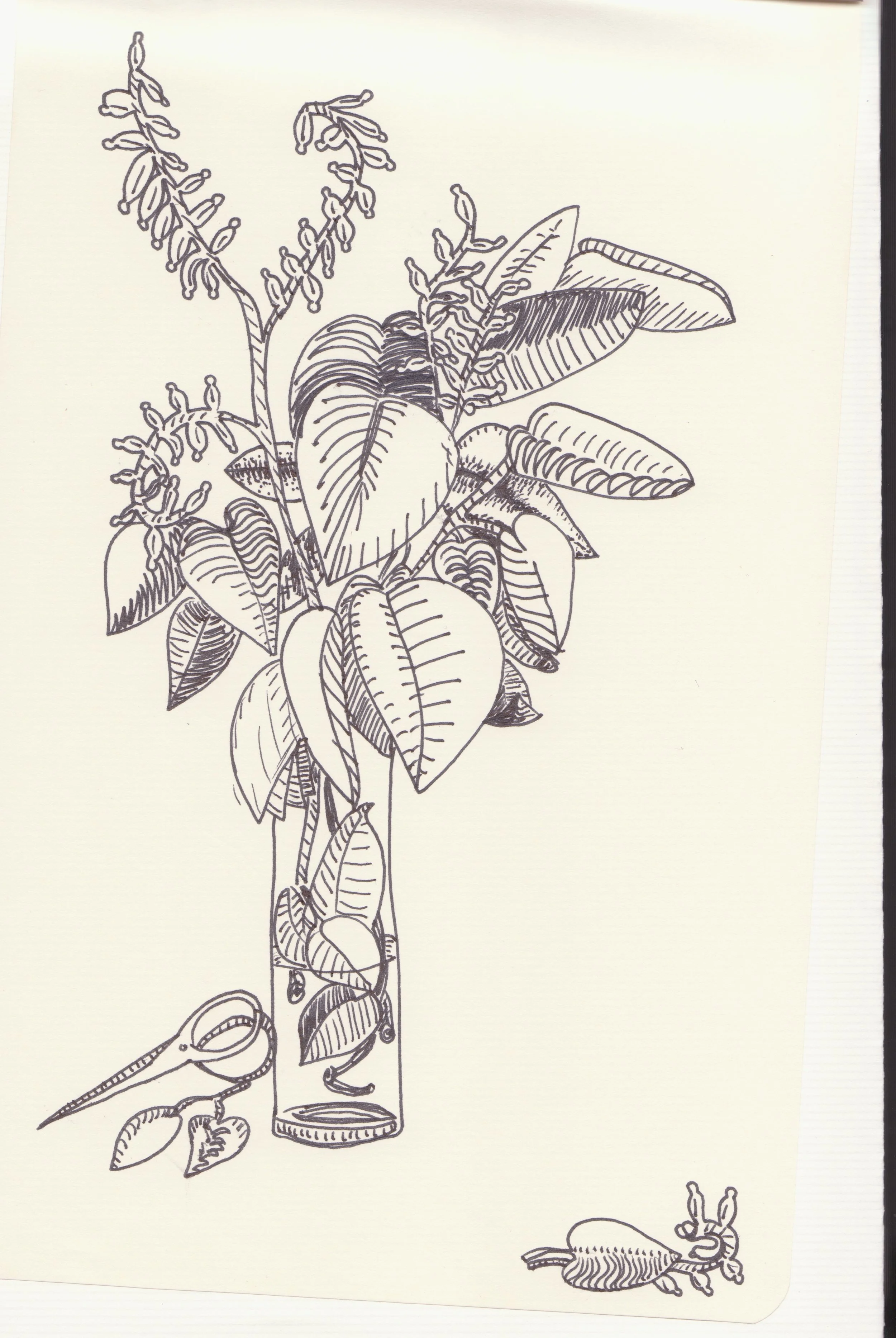 image-11.jpg