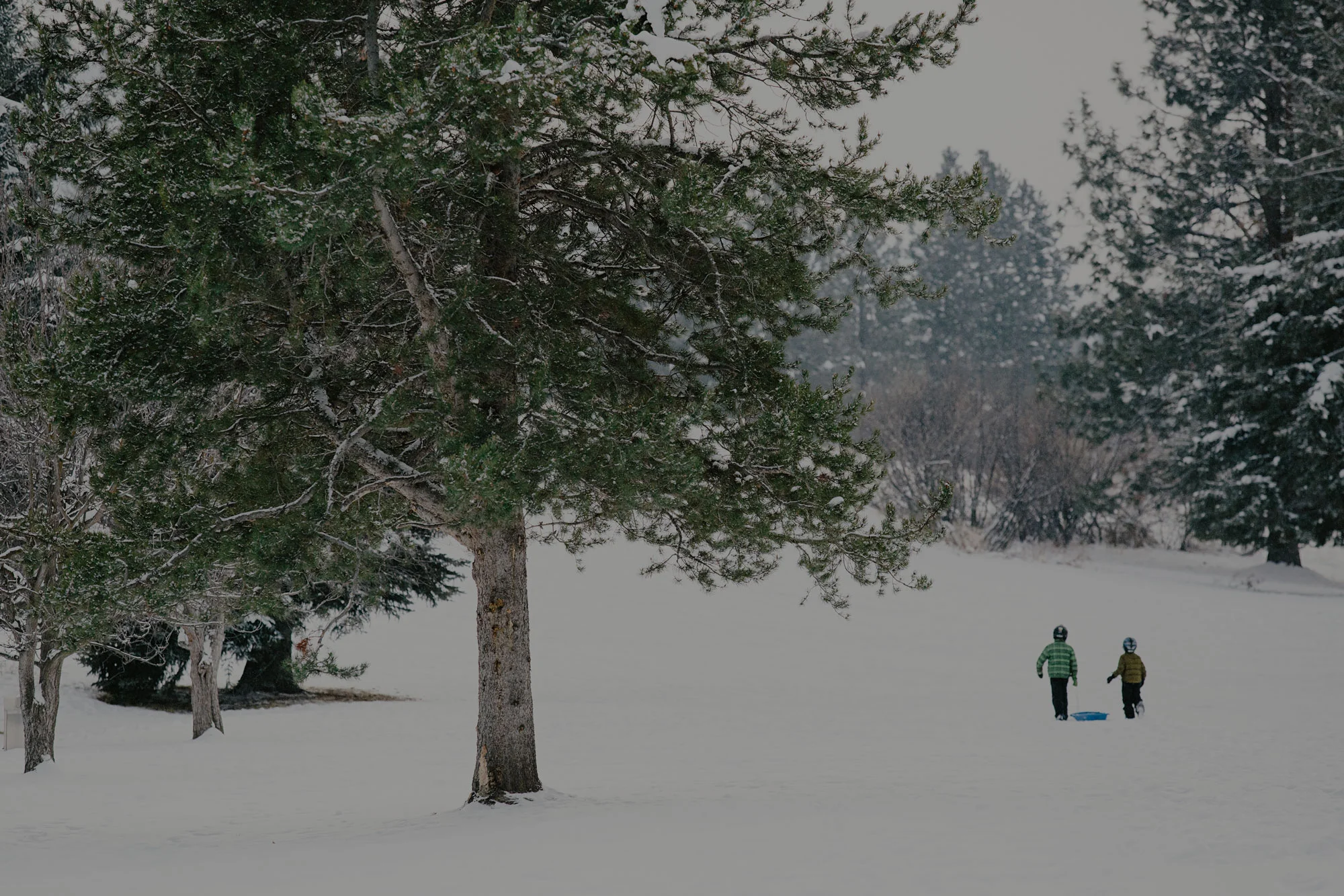 20151229-_H0A5453-Edit.jpg