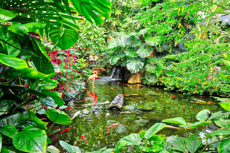 butterflygardens.jpeg