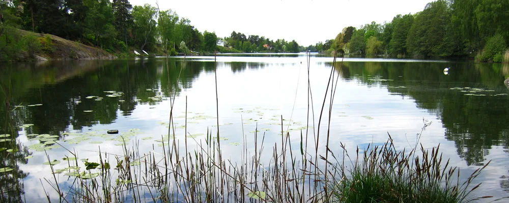 Långsjön.jpg
