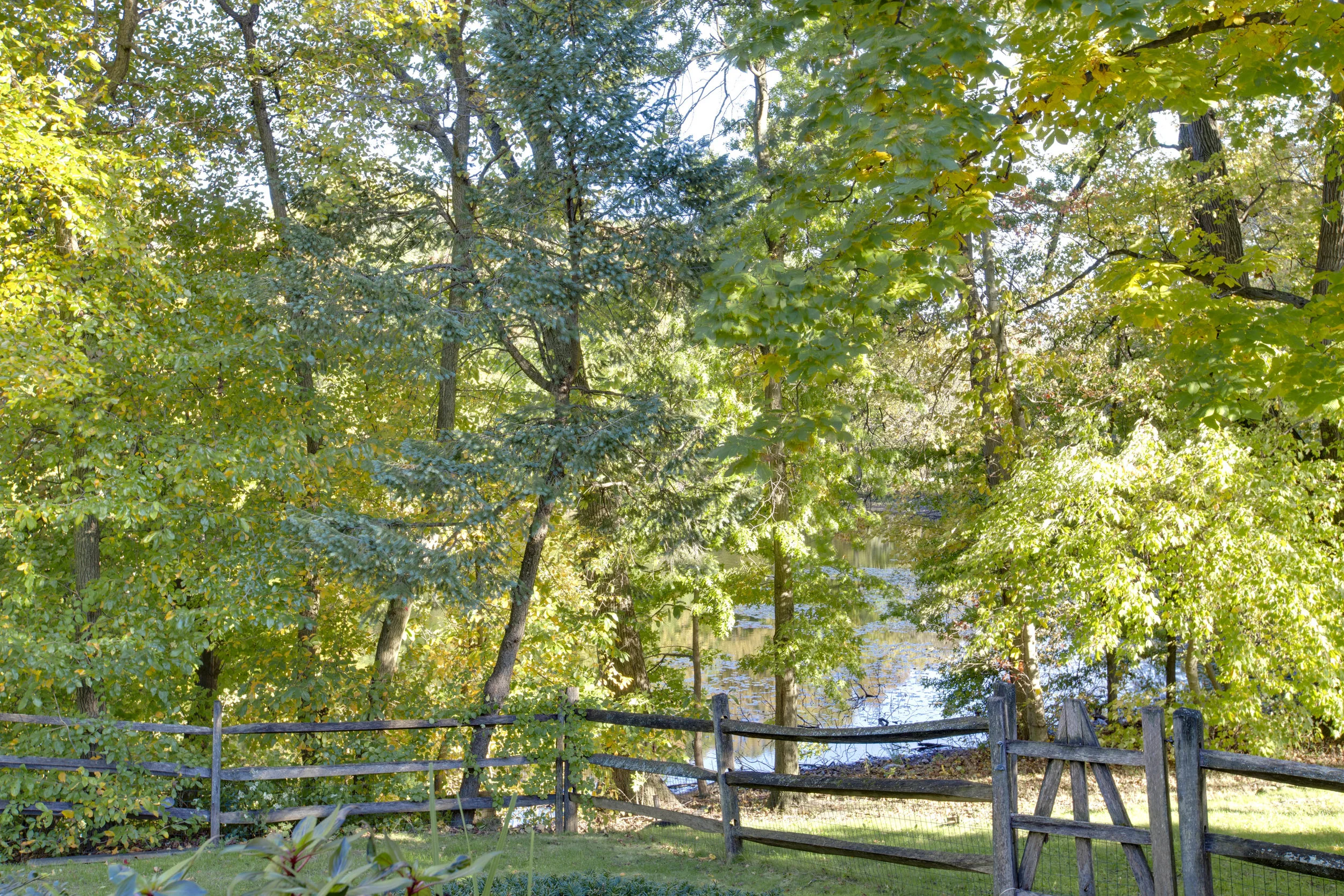 020_Backyard .jpg