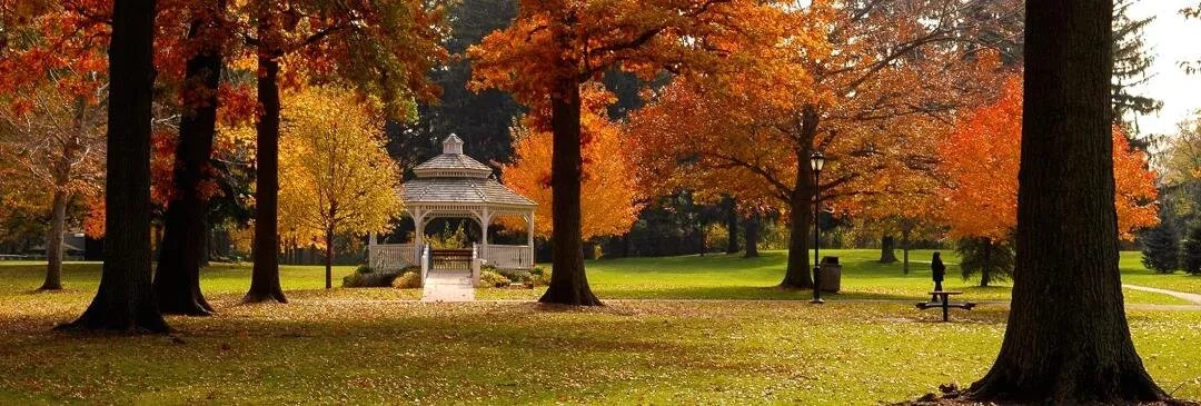 Park.jpg