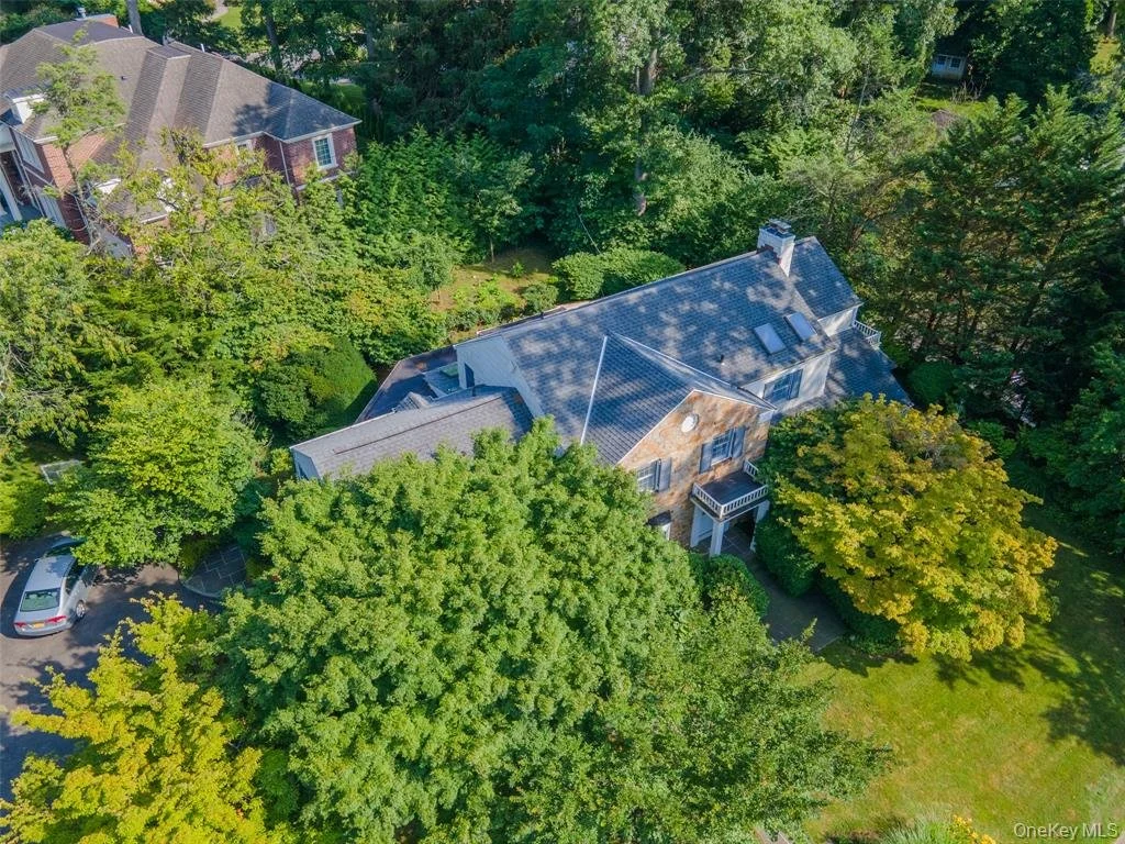 2WWoodsRoad_28.jpeg