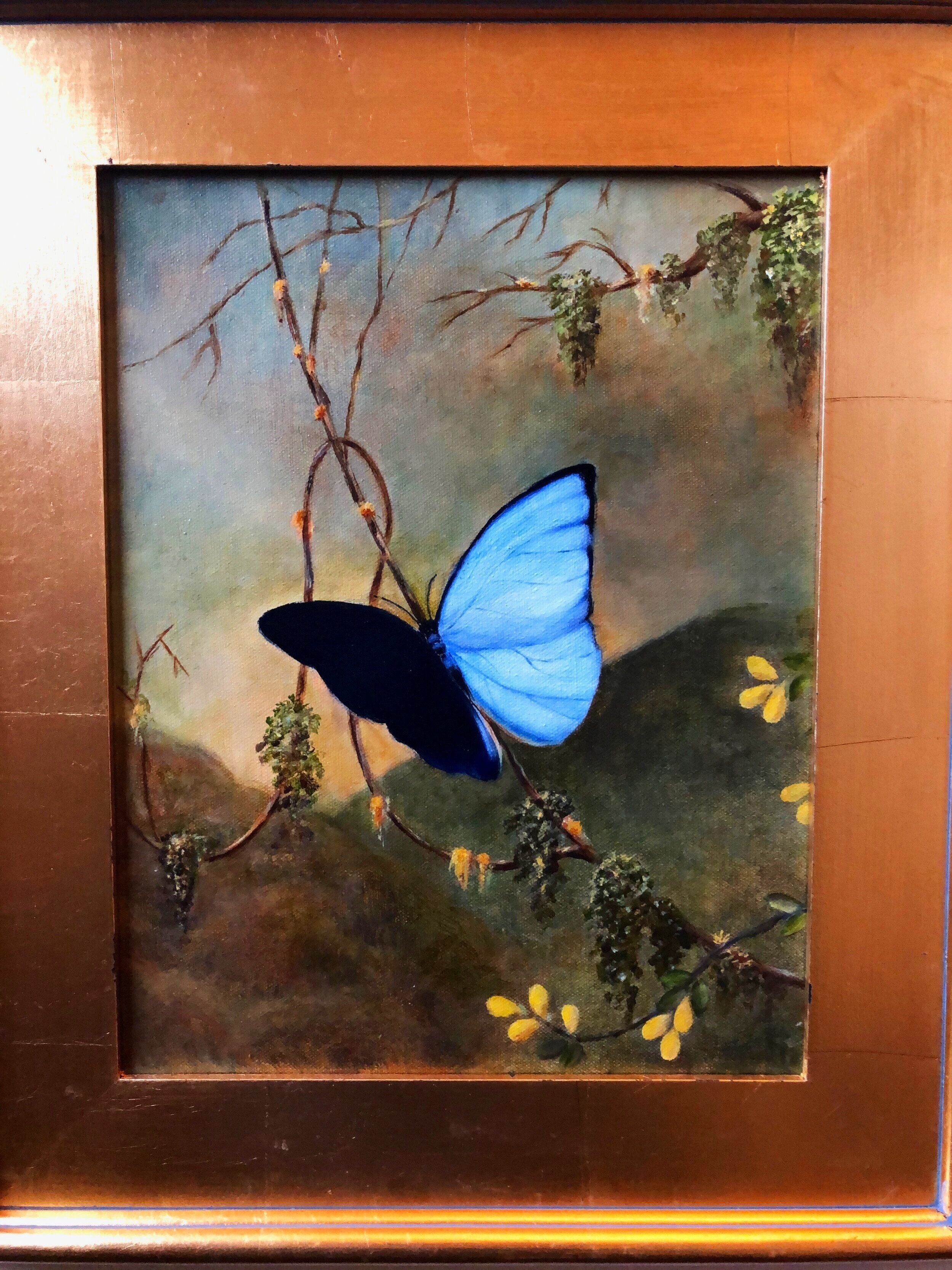 Blue Morpho Butterfly