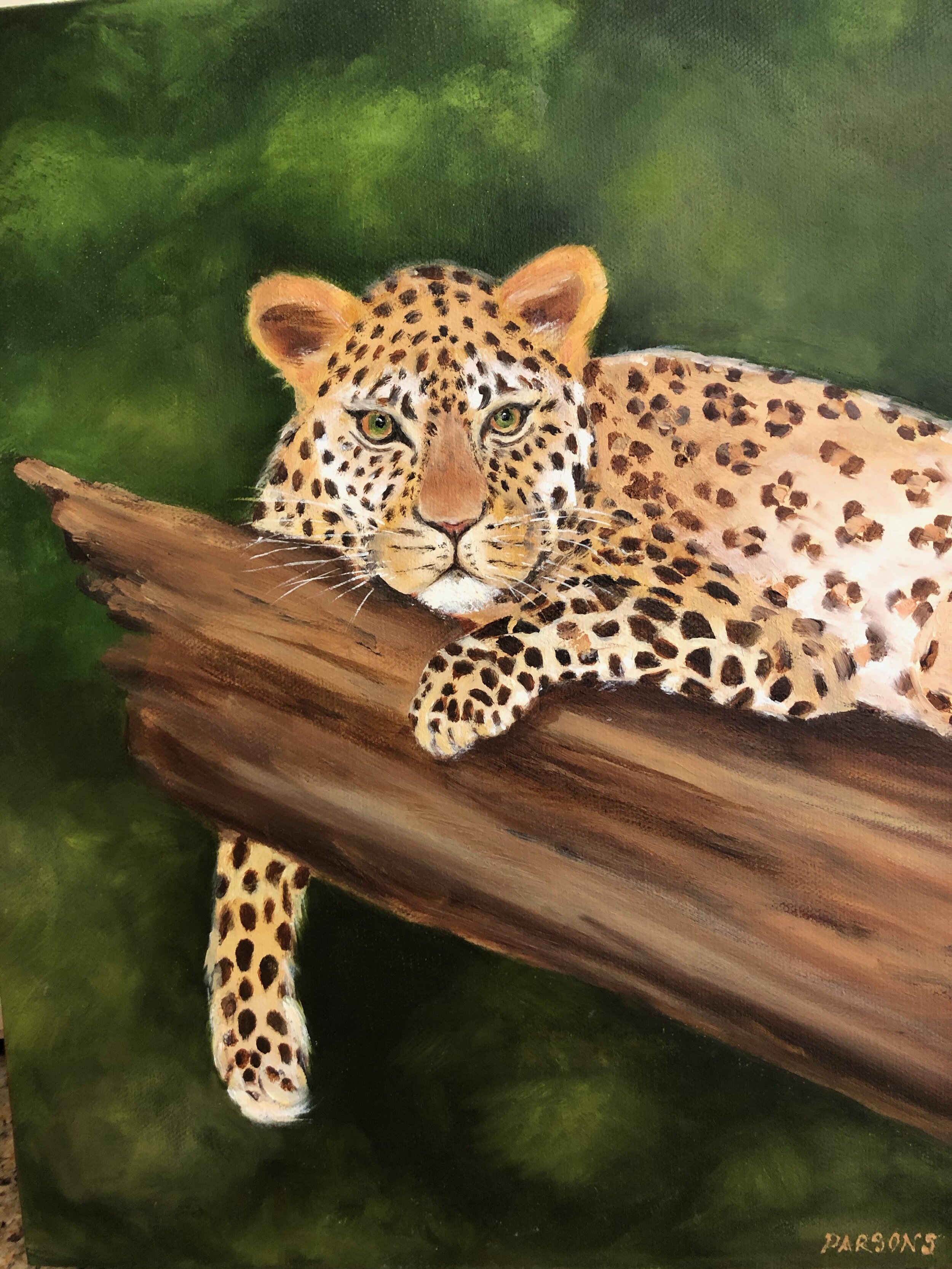 Leopard in Tree 2